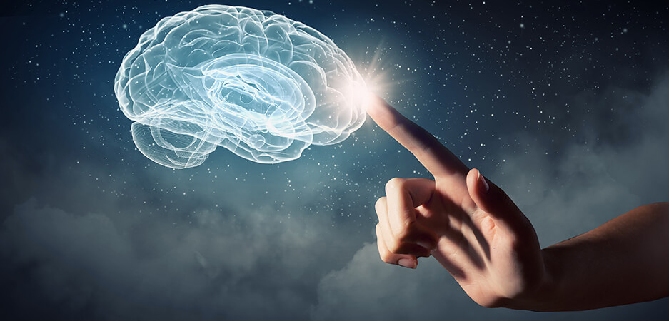 Como o Estudo da Neurociência Pode Ajudar a Reduzir Erros Humanos na Logística