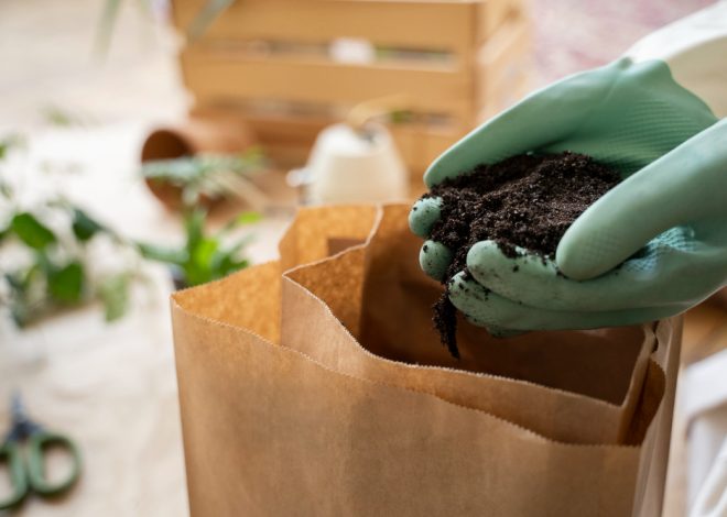 Cauê Lopes Martins enfatiza o papel fundamental da saúde do solo na produtividade agrícola